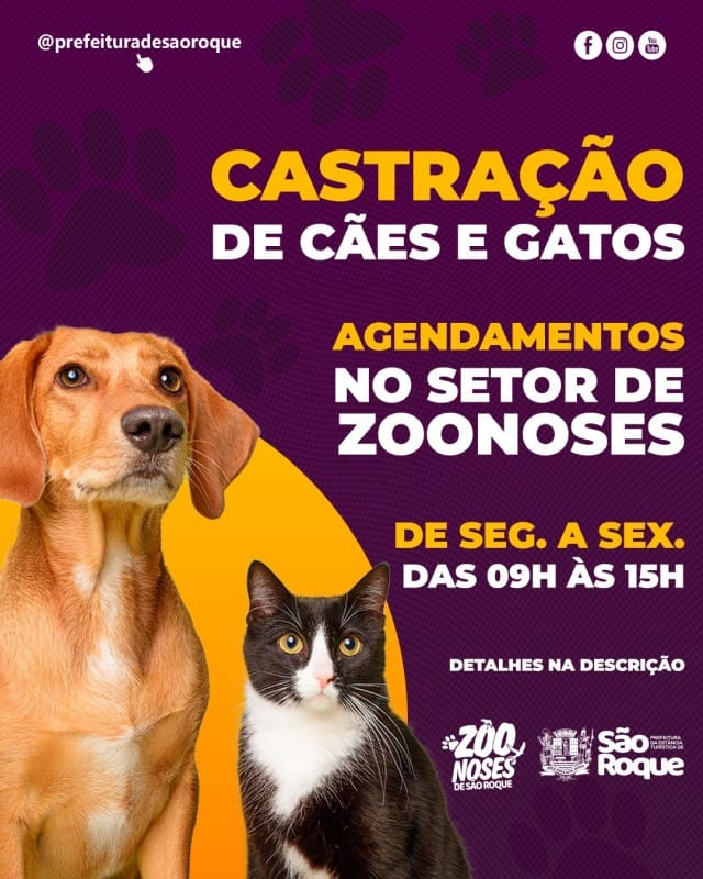 Prefeitura abre vagas para agendamento de castração