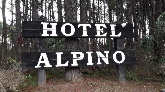 Trabalhador morre após árvore cair sobre trator em área do antigo Hotel Alpino