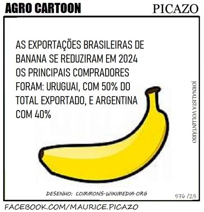 AgroNotícias: Brasil exportou menos banana em 2024