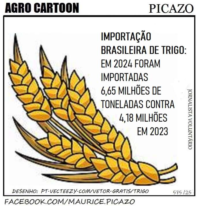 AgroNotícias: Brasil importa mais trigo