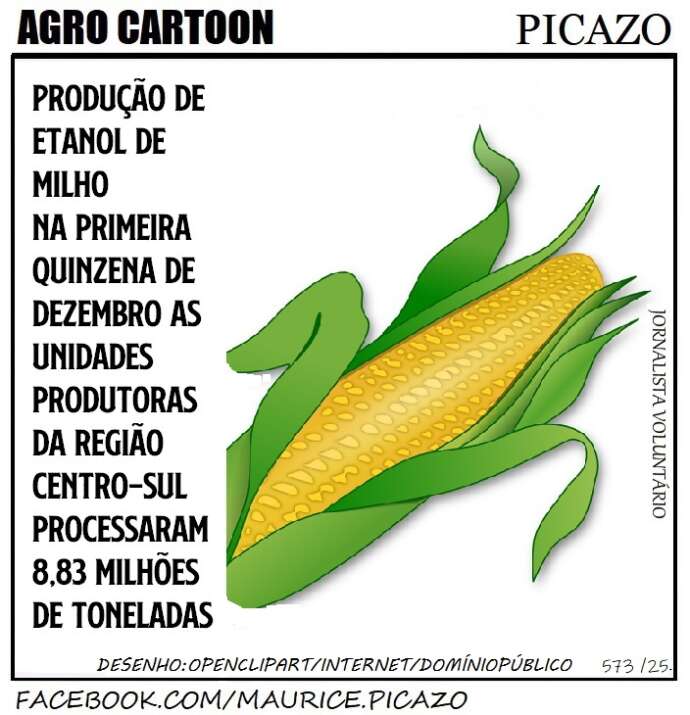 AgroNotícias: Etanol, Regularização de Terras e Tendências para 2025