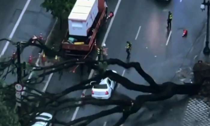 Taxista morre após árvore cair sobre seu carro durante tempestade em São Paulo